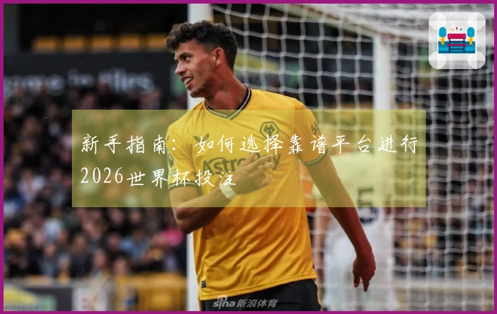 新手指南：如何选择靠谱平台进行2026世界杯投注